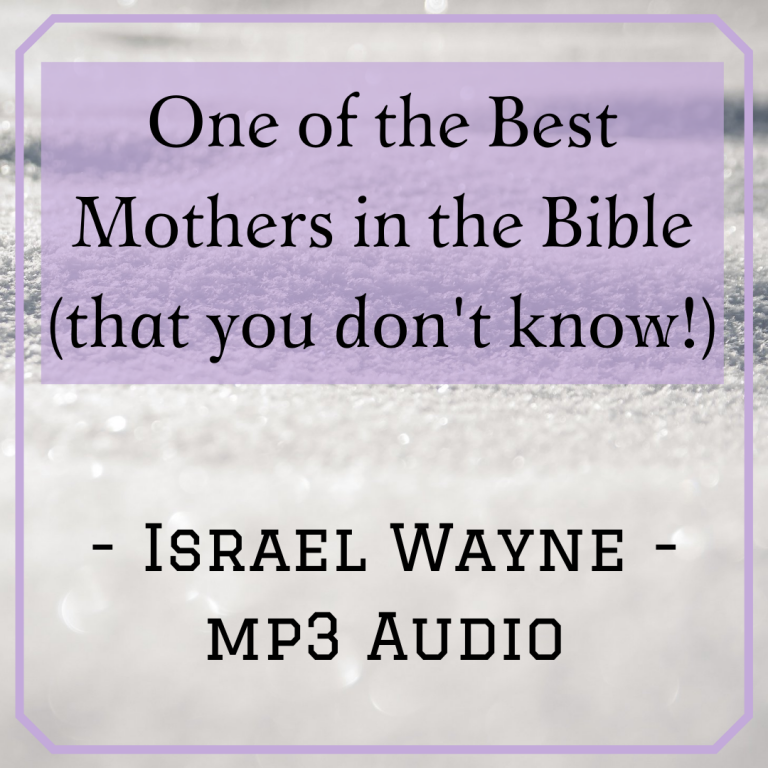 the bible experience audio bible
